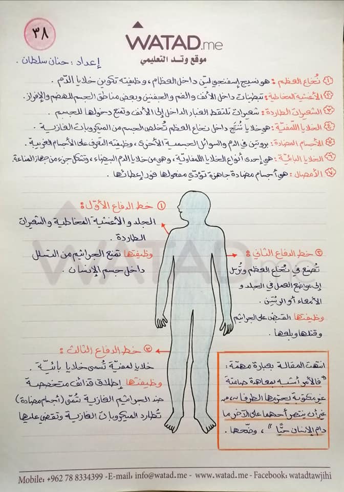 NDEzNjQ4MQ63634 شرح درس المعاهدة الصامته وحدة من عجائب جسم الانسان مادة اللغة العربية للصف التاسع الفصل الاول 2020